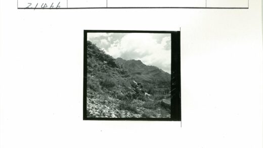 云雾山岩间攀爬的山羊.jpg