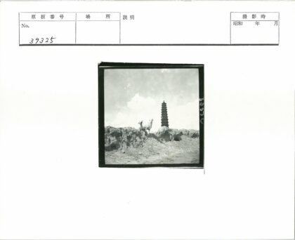 云雾山巅双羊古塔.jpg