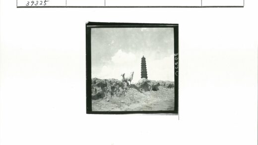 云雾山巅双羊古塔.jpg