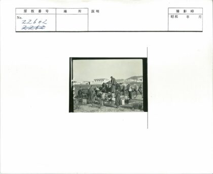井边人与骆驼群建筑山景.jpg