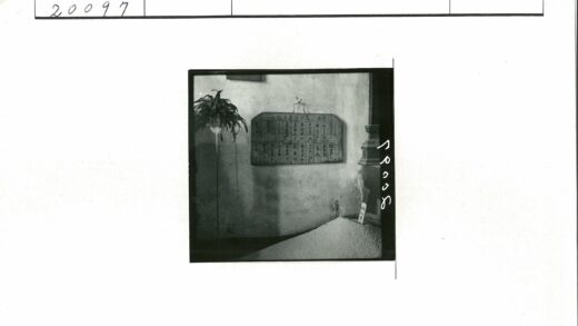 亚洲文字木牌与谷物植物摆设.jpg