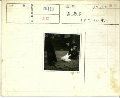 亲子时光与小火堆旁的温馨.jpg