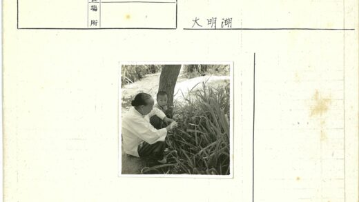 亲子时光树下草地.jpg
