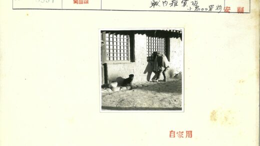 人与狗在网格窗建筑旁.jpg