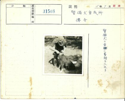 人与狗在草地调整项圈.jpg