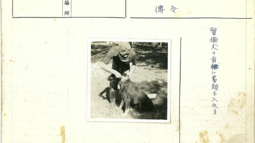 人与狗在草地调整项圈.jpg