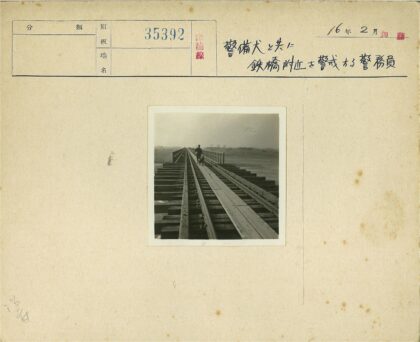 人与狗漫步田野木桥.jpg