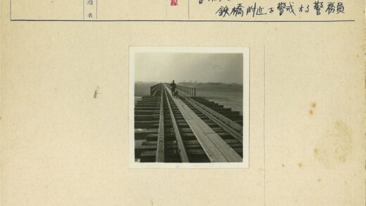 人与狗漫步田野木桥.jpg