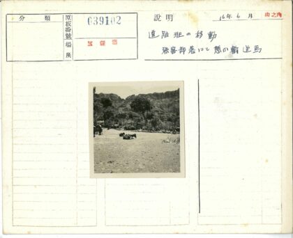 人与驮畜山地劳作场景.jpg