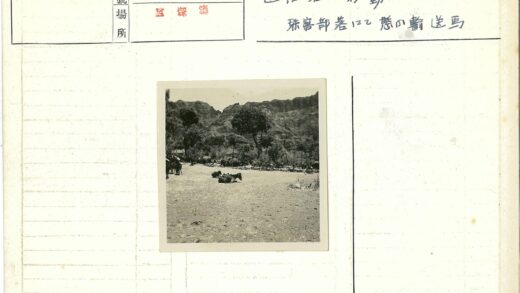 人与驮畜山地劳作场景.jpg