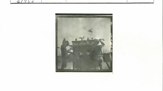 人与鸽子共处的建筑场景.jpg