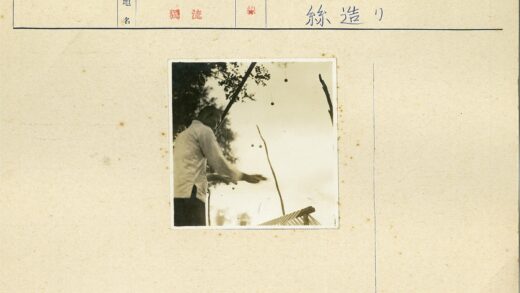 人物与树枝互动户外自然场景.jpg