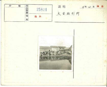 人群与动物聚集池塘建筑背景.jpg