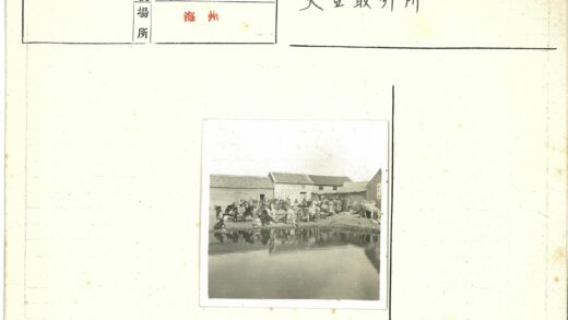 人群与动物聚集池塘建筑背景.jpg
