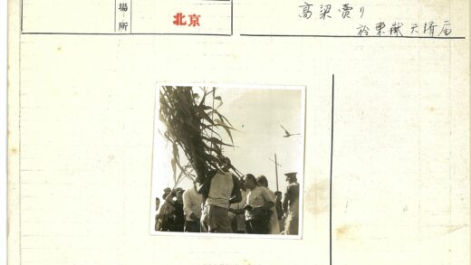人群围观高植物与飞鸟电线杆.jpg