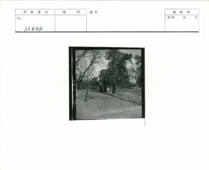 人群弯腰土路枯树旁.jpg