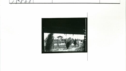 人群聚集树篱建筑空地.jpg