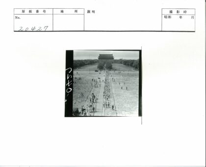 人群走向古建筑林荫石径.jpg