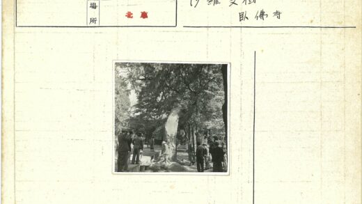 众人围观大树疤痕的户外场景.jpg