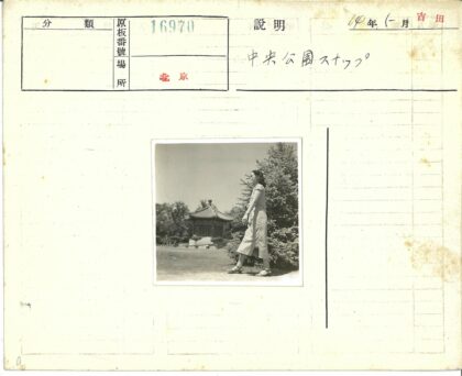优雅女士与常青树传统建筑.jpg
