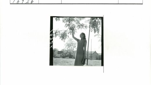 优雅女士树下阅读.jpg