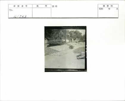 传统乡村晒辣椒场景.jpg