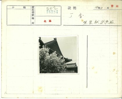 传统亚洲建筑与自然庭院景观.jpg