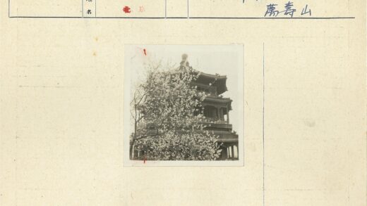传统亚洲建筑与自然景观.jpg