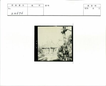 传统亭子与奇石枯树景观.jpg