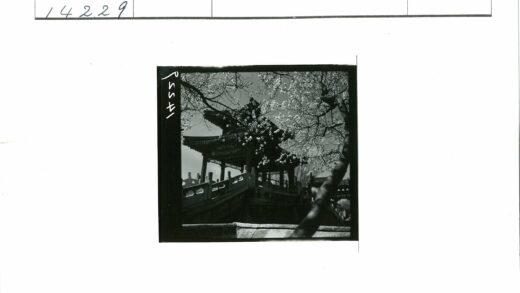传统亭子华丽屋顶与盛开树木.jpg