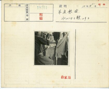 传统兽皮处理工艺展示.jpg