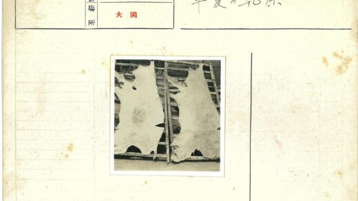 传统兽皮工艺木架展示.jpg
