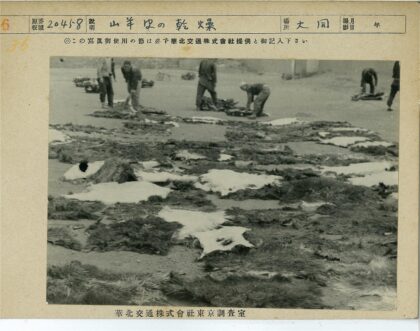 传统兽皮晾晒工艺.jpg