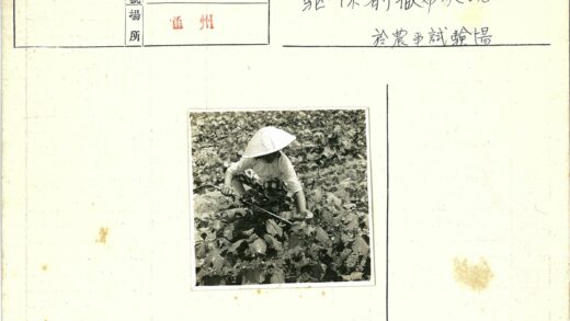 传统农人耕作场景.jpg