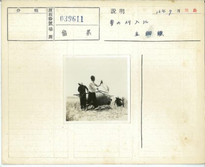 传统农作与动物相伴.jpg