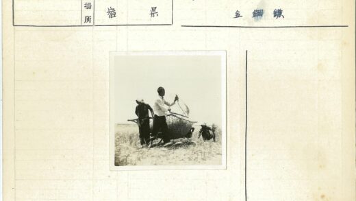 传统农作与动物相伴.jpg