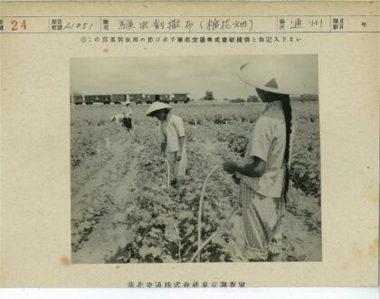 传统农耕与火车穿行.jpg