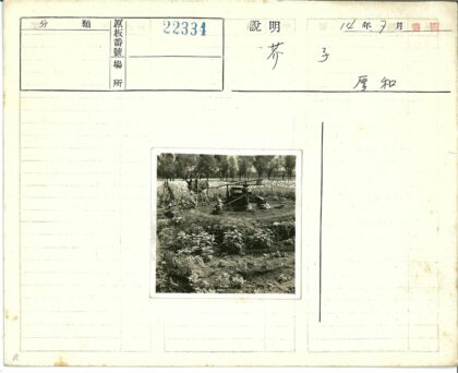 传统农耕与驴拉灌溉系统.jpg
