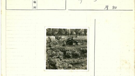 传统农耕与驴拉灌溉系统.jpg