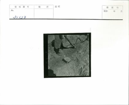 传统农耕劳作与种子播种.jpg
