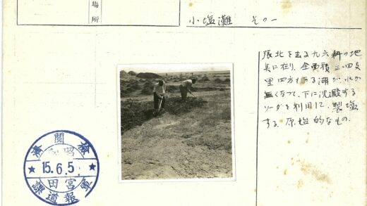 传统农耕劳作田野间.jpg