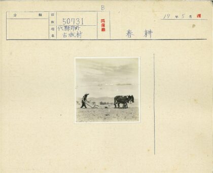 传统农耕场景人与骡犁地.jpg