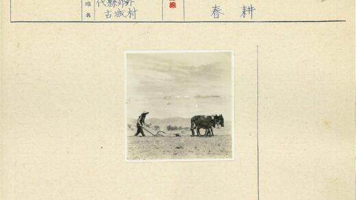 传统农耕场景人与骡犁地.jpg