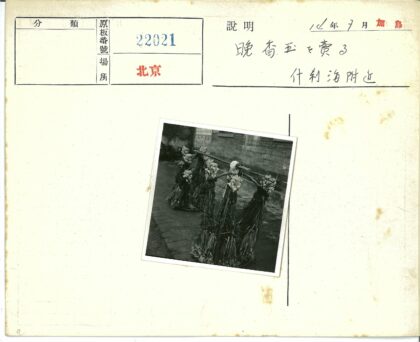 传统农耕植物收获展示.jpg