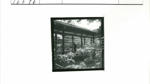 传统凉亭下的花园绿意.jpg