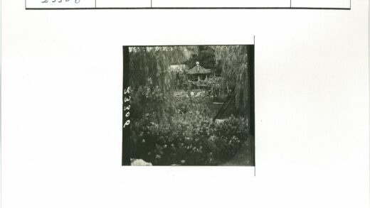传统凉亭花园景观.jpg