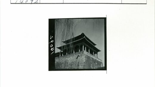 传统分层石塔屋檐树枝前景.jpg