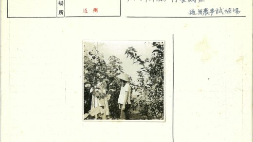 传统圆锥帽花园留影.jpg