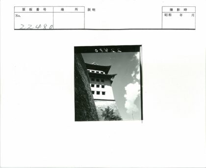 传统多层塔楼石墙植被背景.jpg