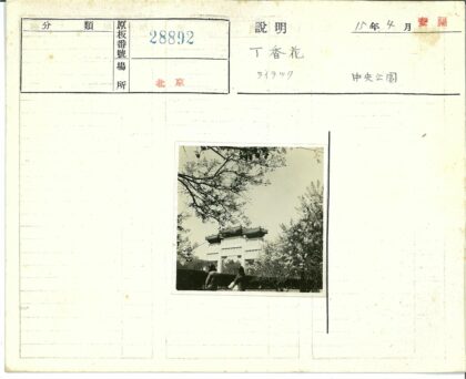 传统大门前的人物与自然.jpg